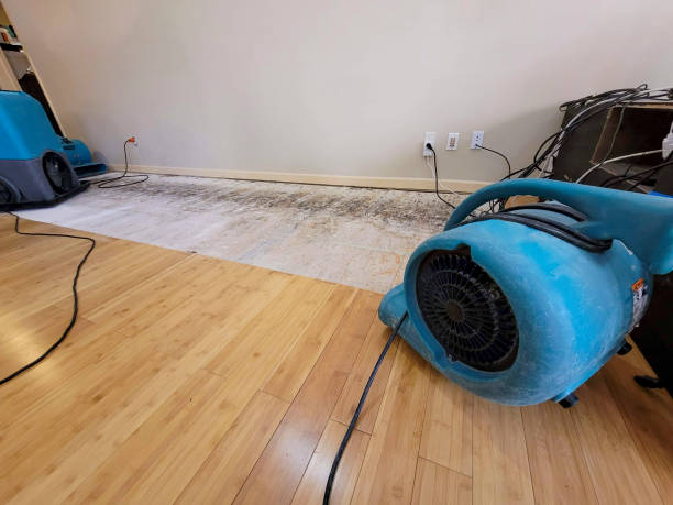 Professional Sewage Cleanup technician working in Dinuba, CA